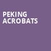 Peking Acrobats, Des Moines Civic Center, Des Moines