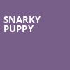 Snarky Puppy, Hoyt Sherman Auditorium, Des Moines